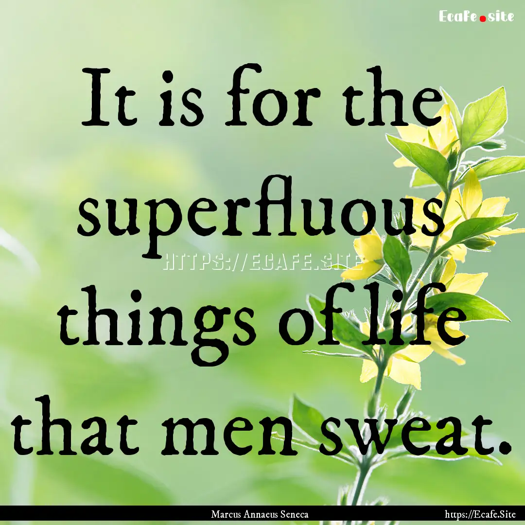 It is for the superfluous things of life.... : Quote by Marcus Annaeus Seneca