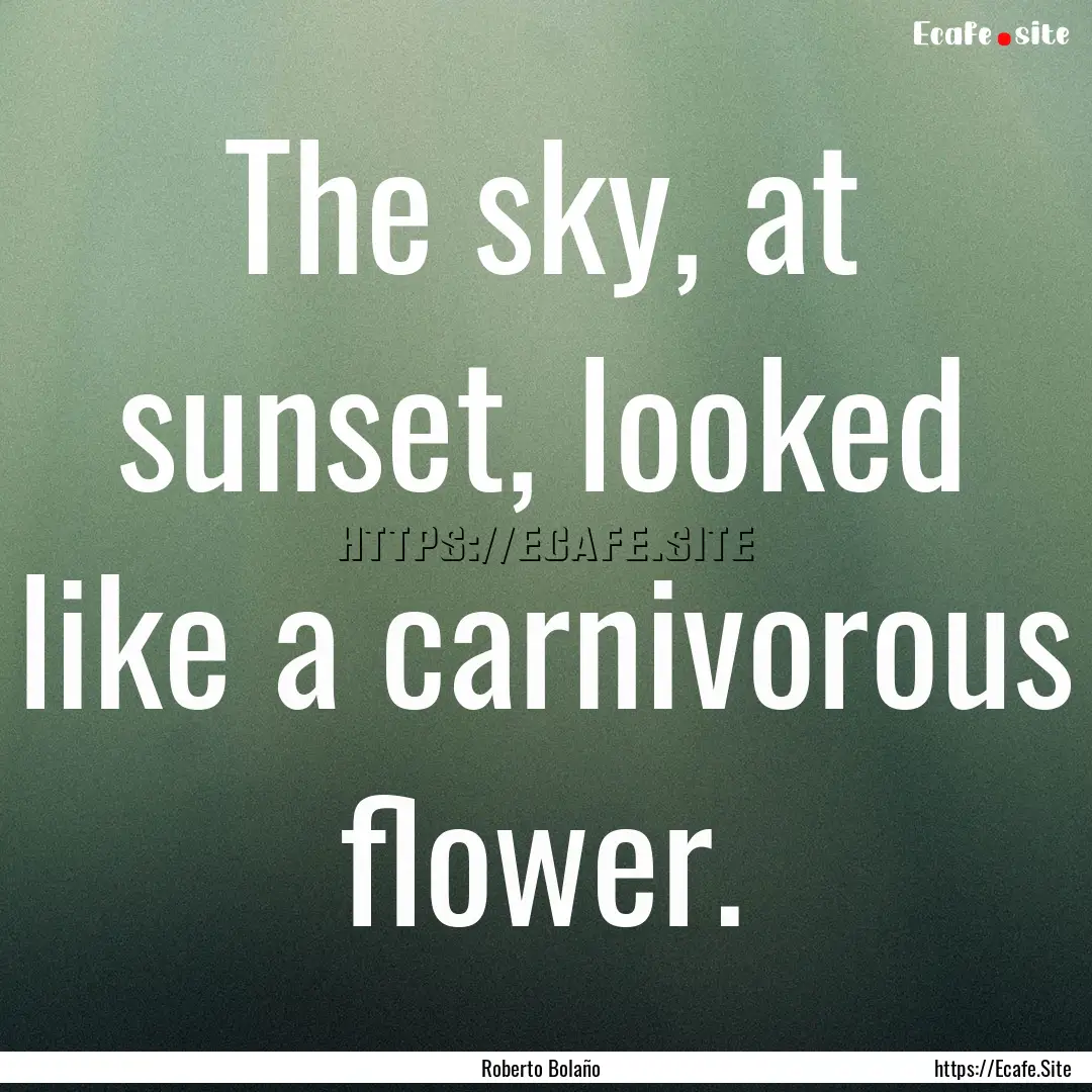 The sky, at sunset, looked like a carnivorous.... : Quote by Roberto Bolaño