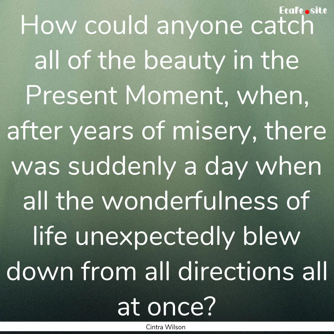 How could anyone catch all of the beauty.... : Quote by Cintra Wilson