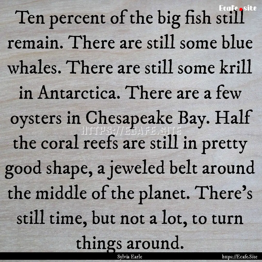 Ten percent of the big fish still remain..... : Quote by Sylvia Earle