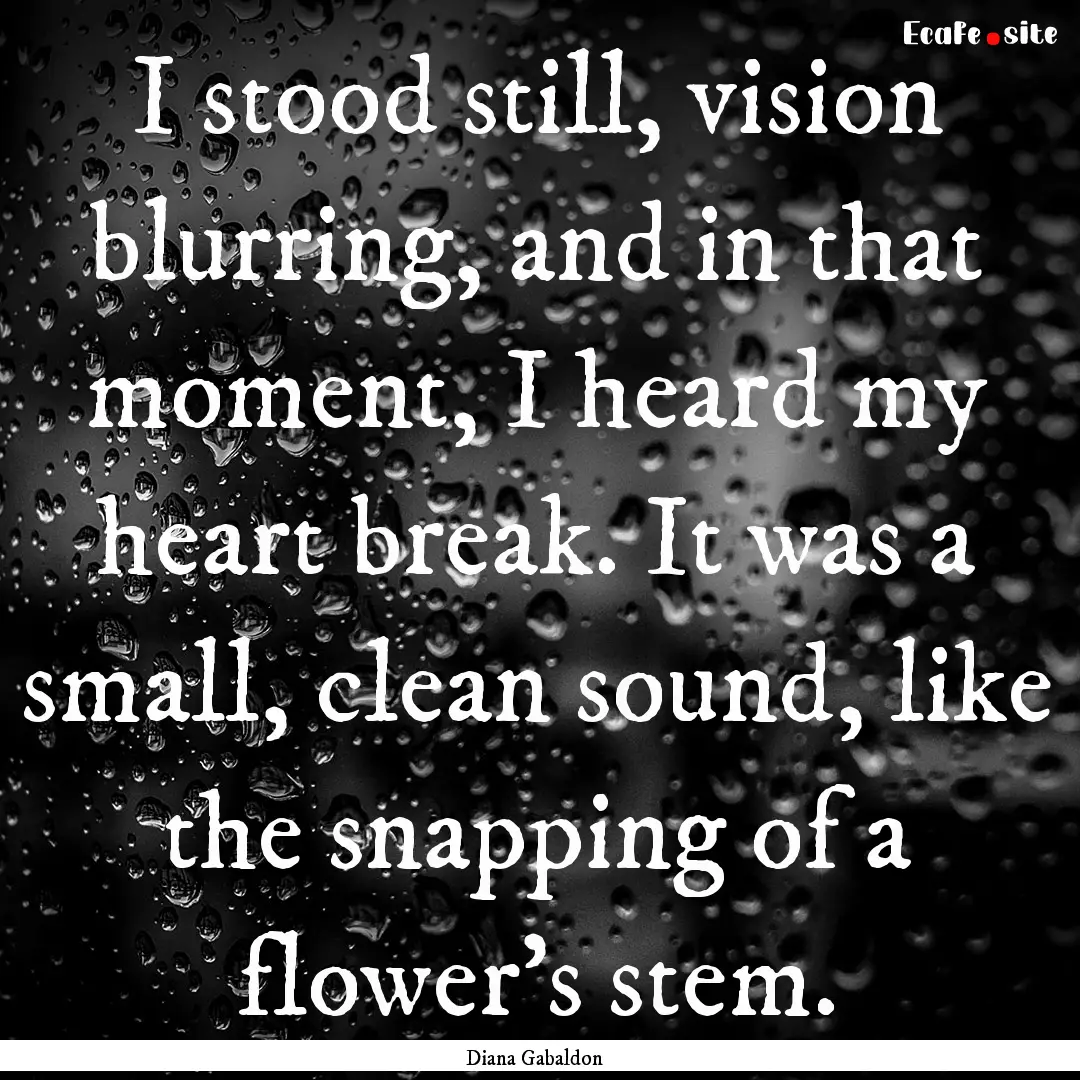 I stood still, vision blurring, and in that.... : Quote by Diana Gabaldon