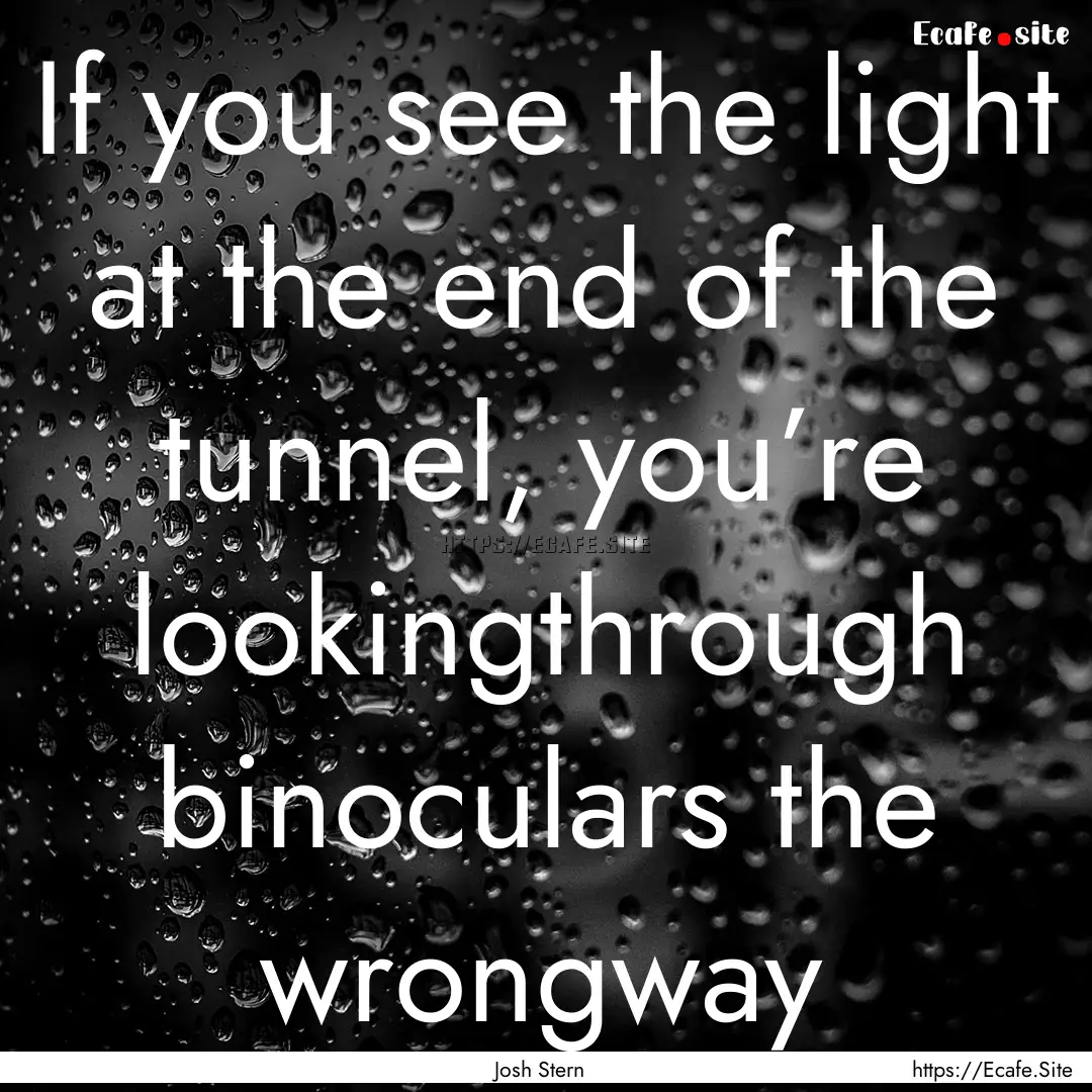 If you see the light at the end of the tunnel,.... : Quote by Josh Stern