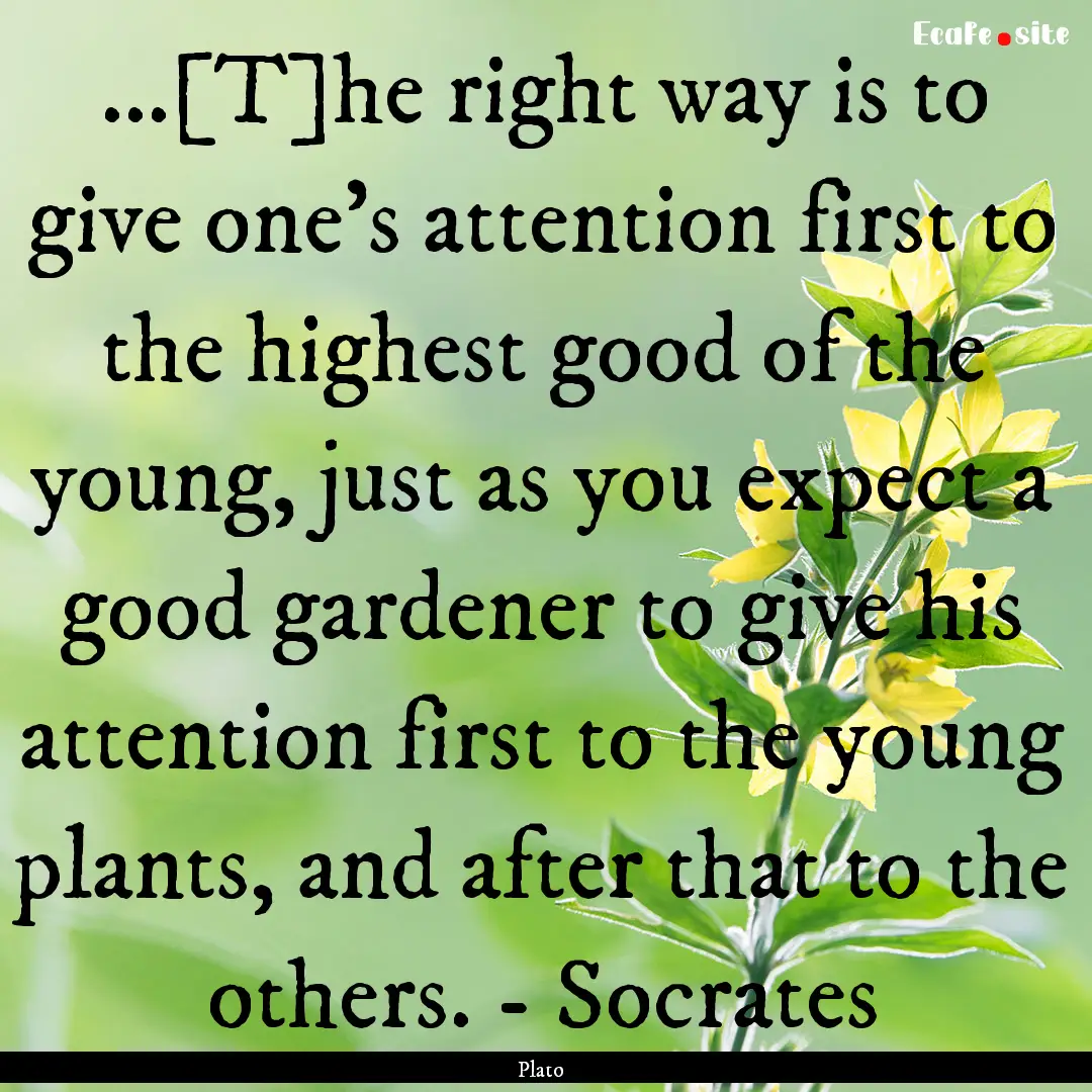 ...[T]he right way is to give one's attention.... : Quote by Plato