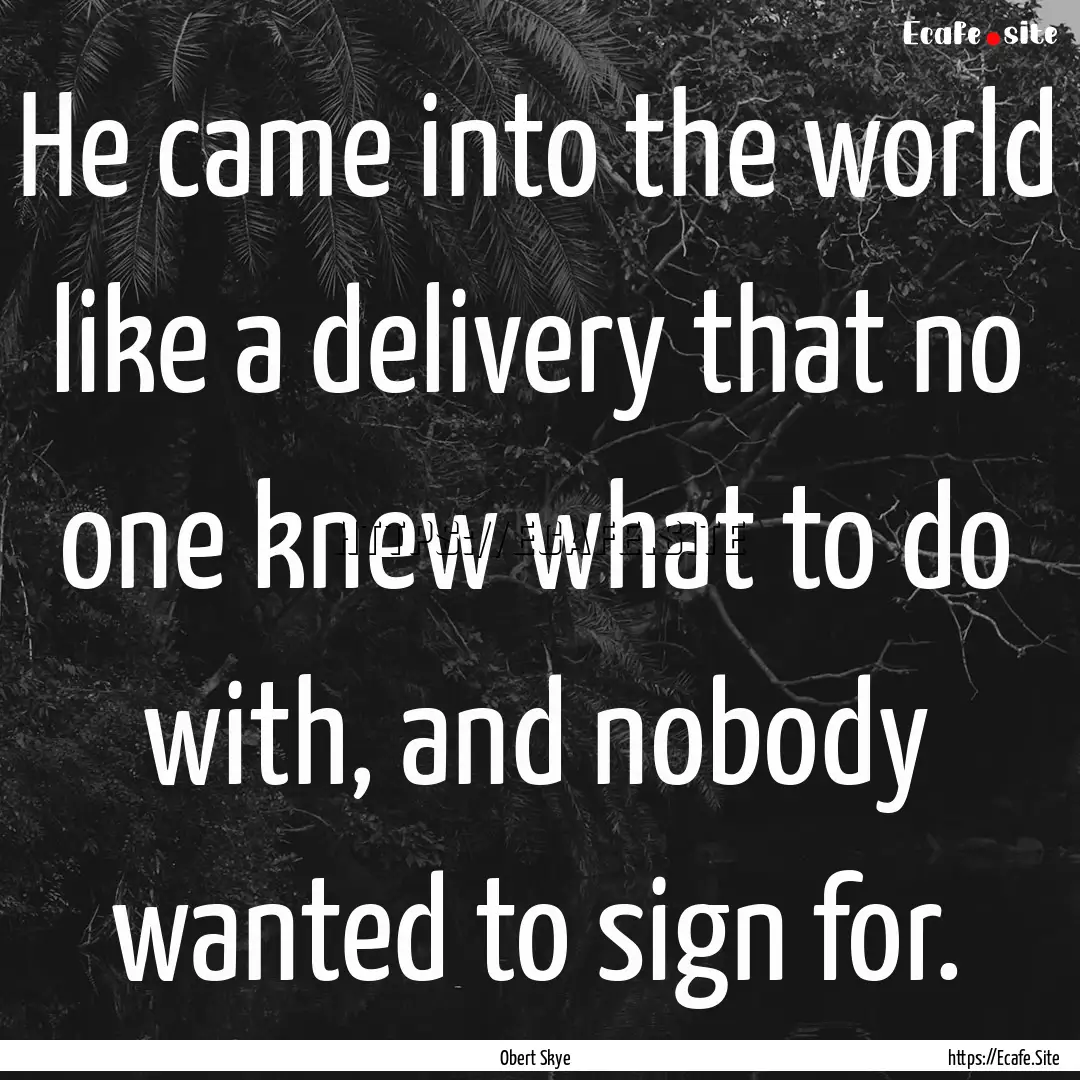 He came into the world like a delivery that.... : Quote by Obert Skye