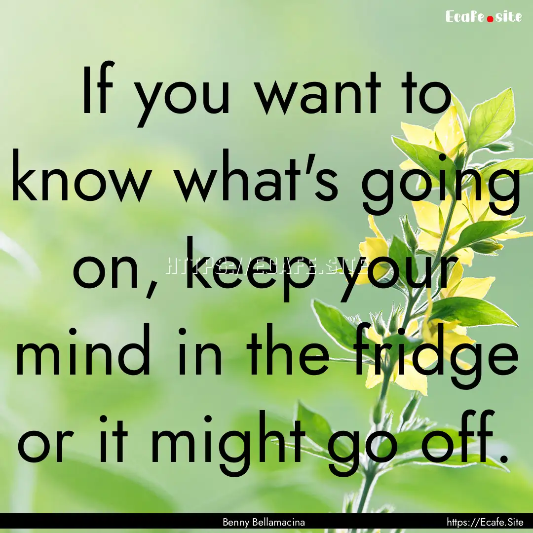 If you want to know what's going on, keep.... : Quote by Benny Bellamacina