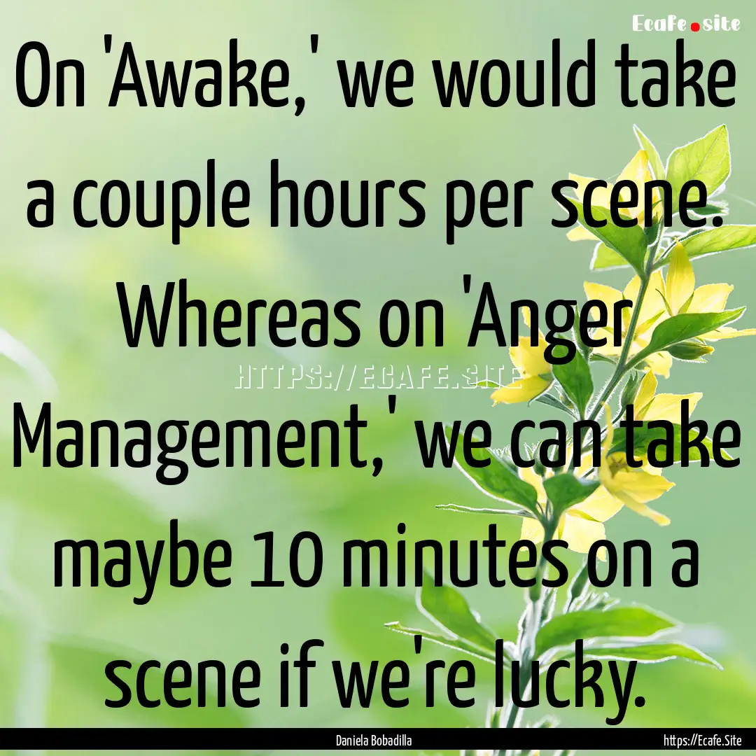 On 'Awake,' we would take a couple hours.... : Quote by Daniela Bobadilla