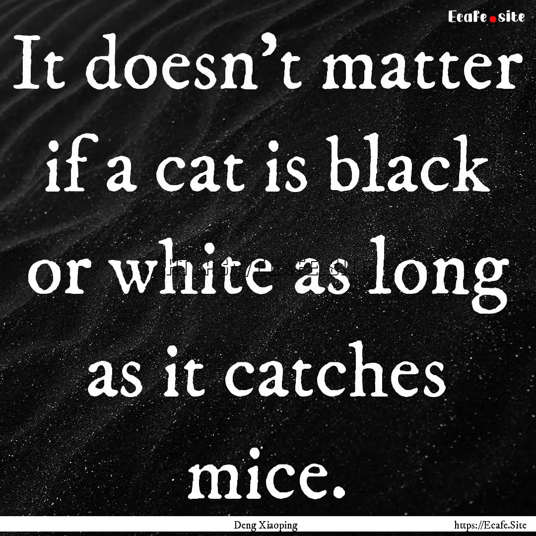 It doesn't matter if a cat is black or white.... : Quote by Deng Xiaoping