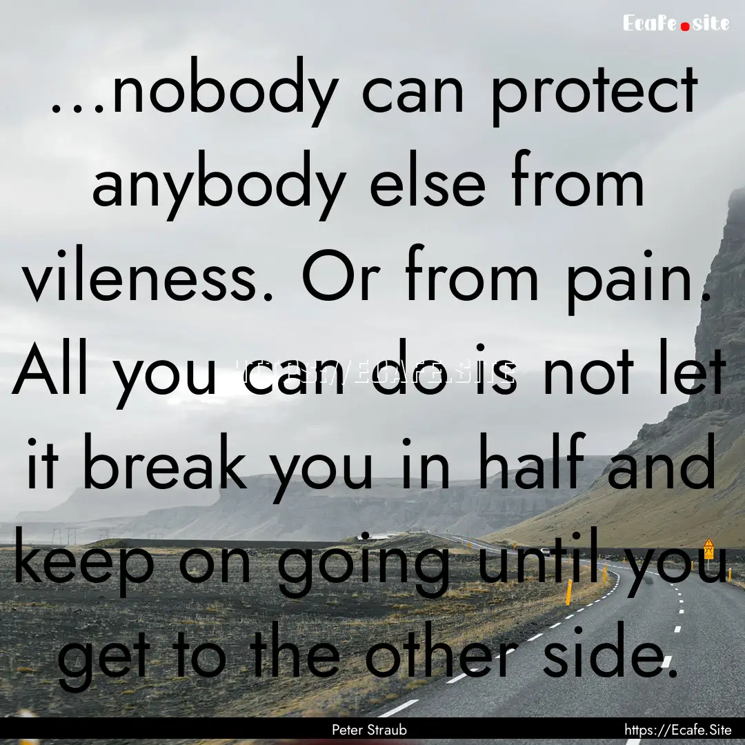 ...nobody can protect anybody else from vileness..... : Quote by Peter Straub