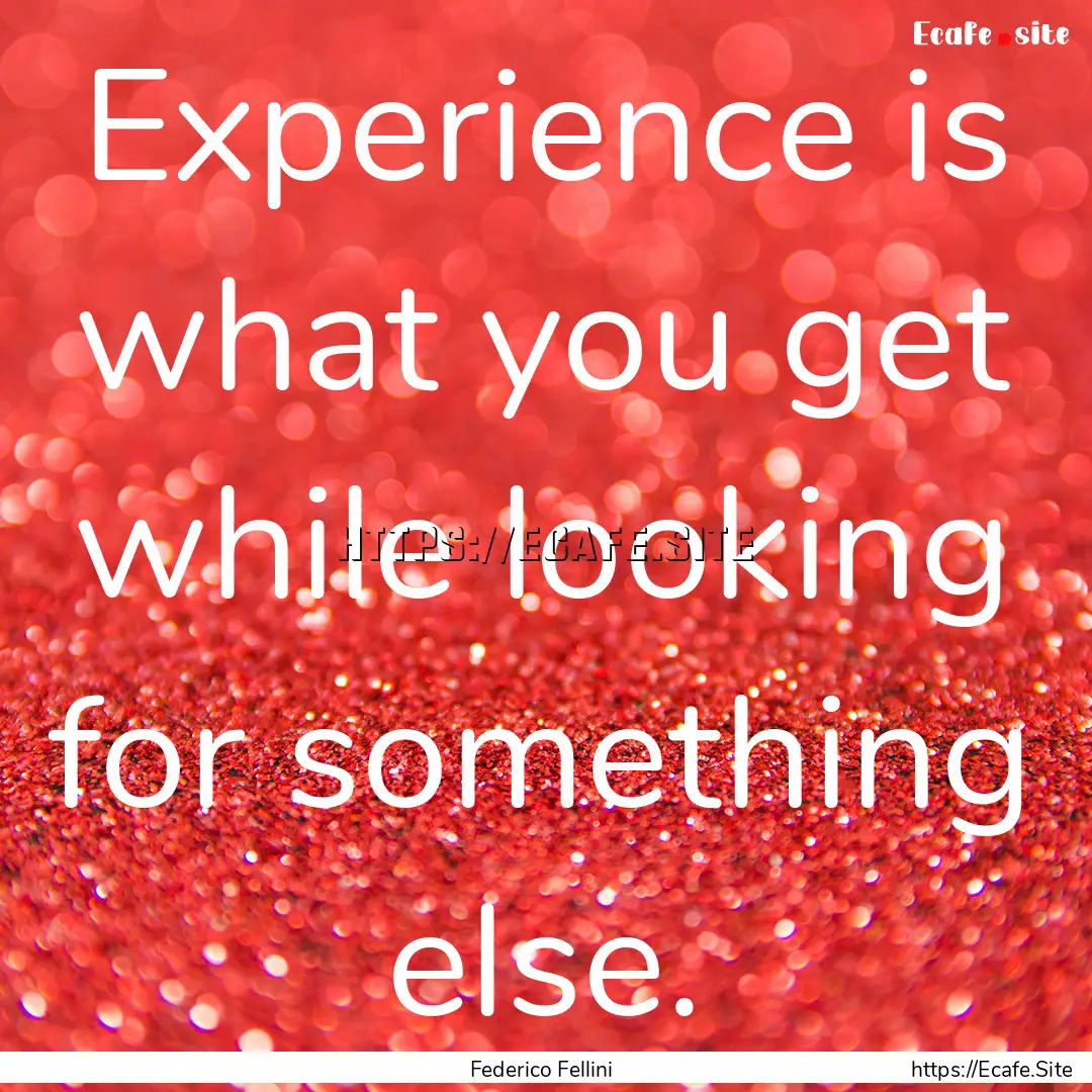 Experience is what you get while looking.... : Quote by Federico Fellini