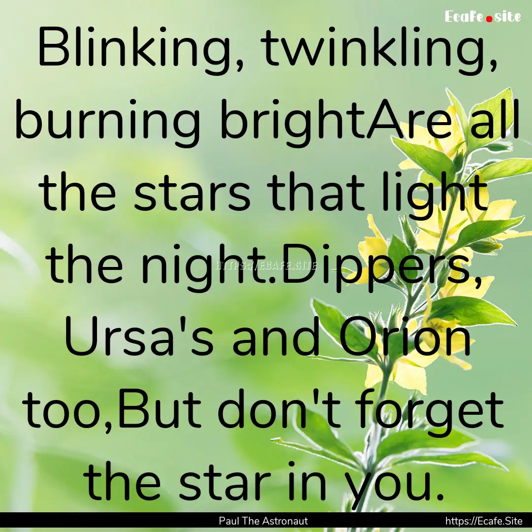 Blinking, twinkling, burning brightAre all.... : Quote by Paul The Astronaut