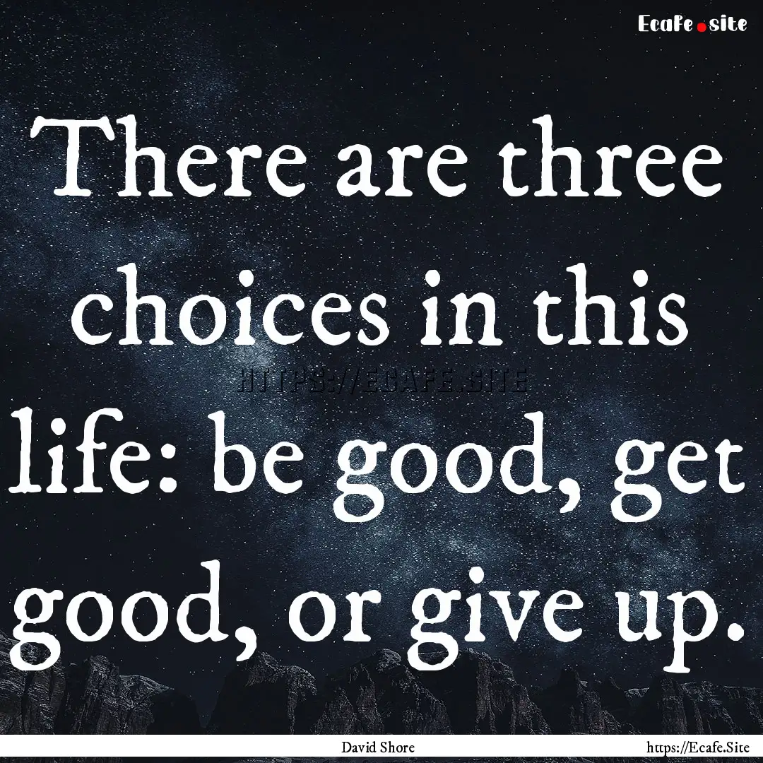 There are three choices in this life: be.... : Quote by David Shore