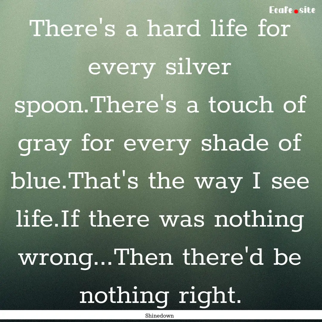 There's a hard life for every silver spoon.There's.... : Quote by Shinedown