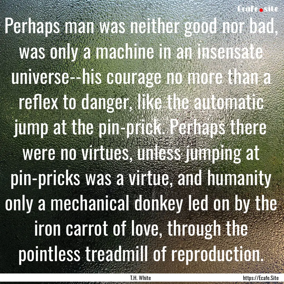 Perhaps man was neither good nor bad, was.... : Quote by T.H. White