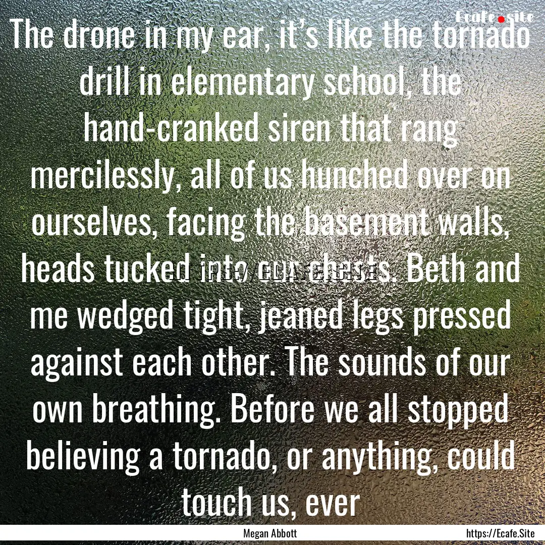 The drone in my ear, it’s like the tornado.... : Quote by Megan Abbott