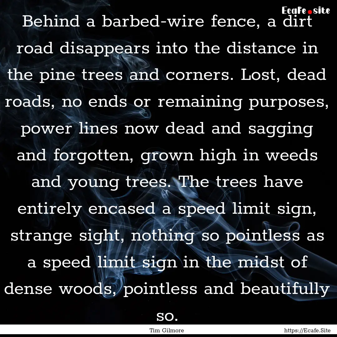 Behind a barbed-wire fence, a dirt road disappears.... : Quote by Tim Gilmore