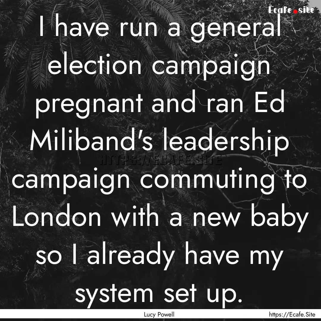 I have run a general election campaign pregnant.... : Quote by Lucy Powell