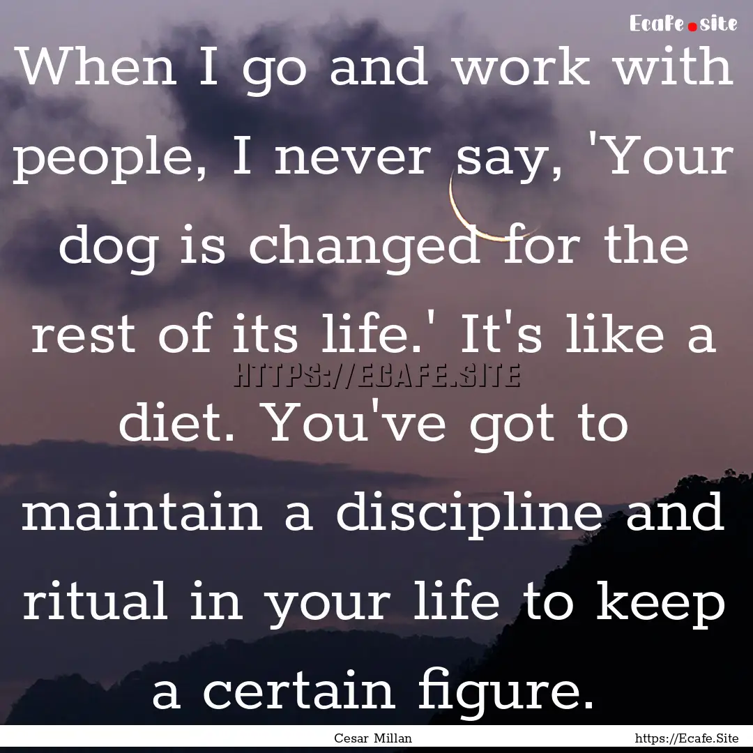 When I go and work with people, I never say,.... : Quote by Cesar Millan