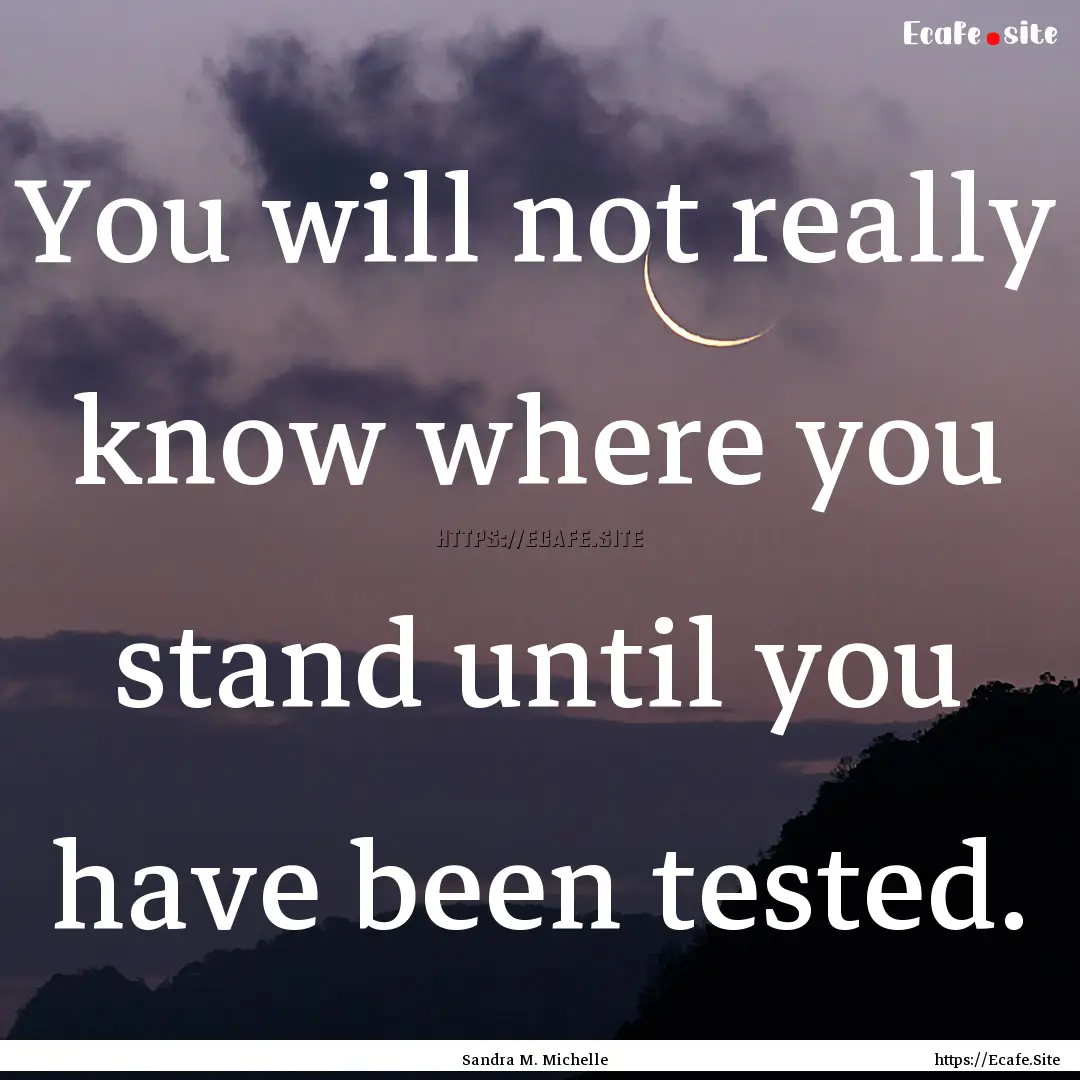 You will not really know where you stand.... : Quote by Sandra M. Michelle