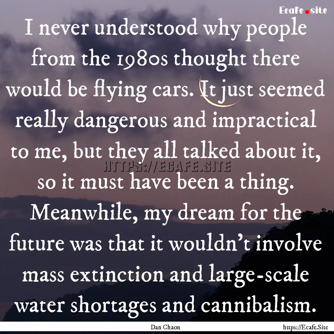 I never understood why people from the 1980s.... : Quote by Dan Chaon