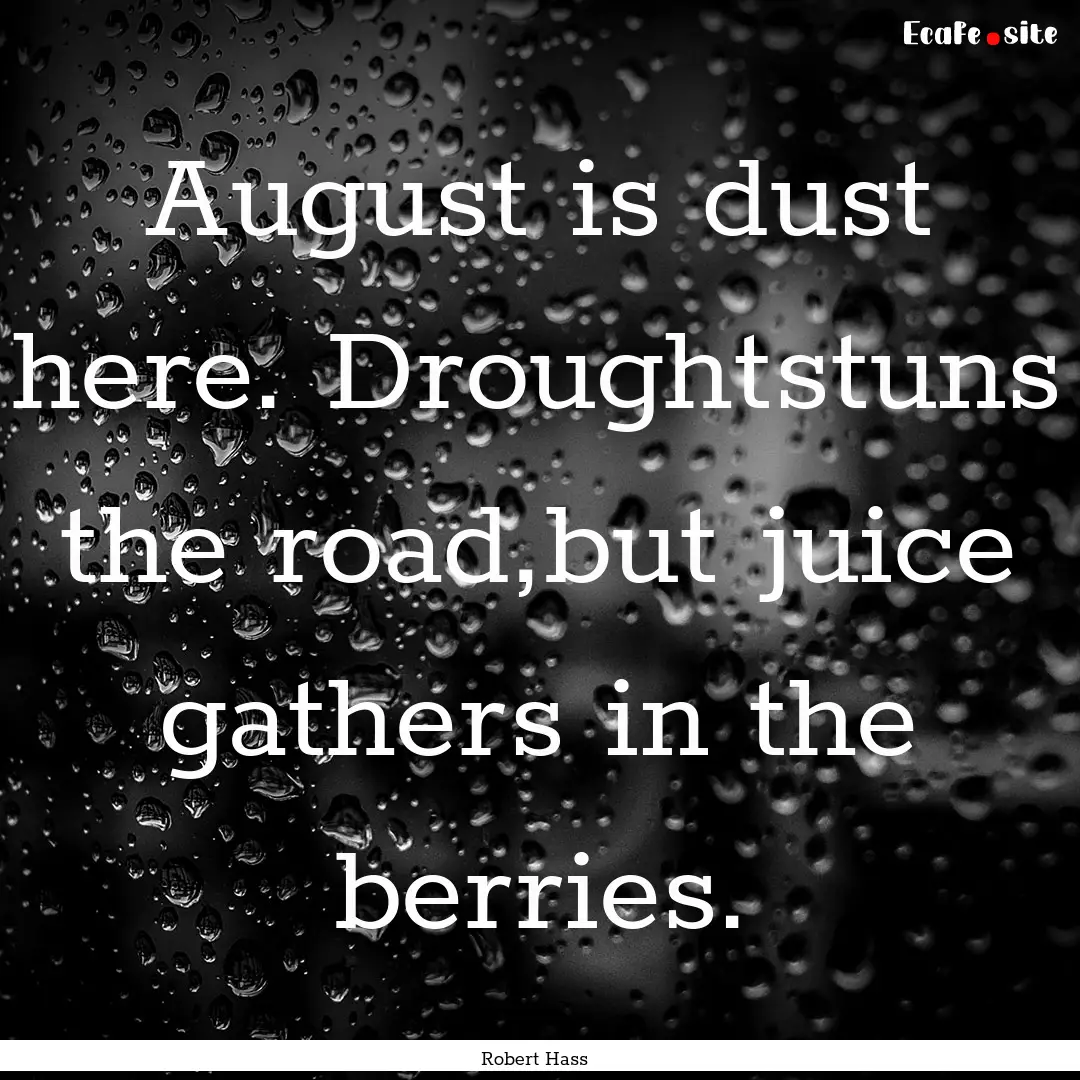 August is dust here. Droughtstuns the road,but.... : Quote by Robert Hass