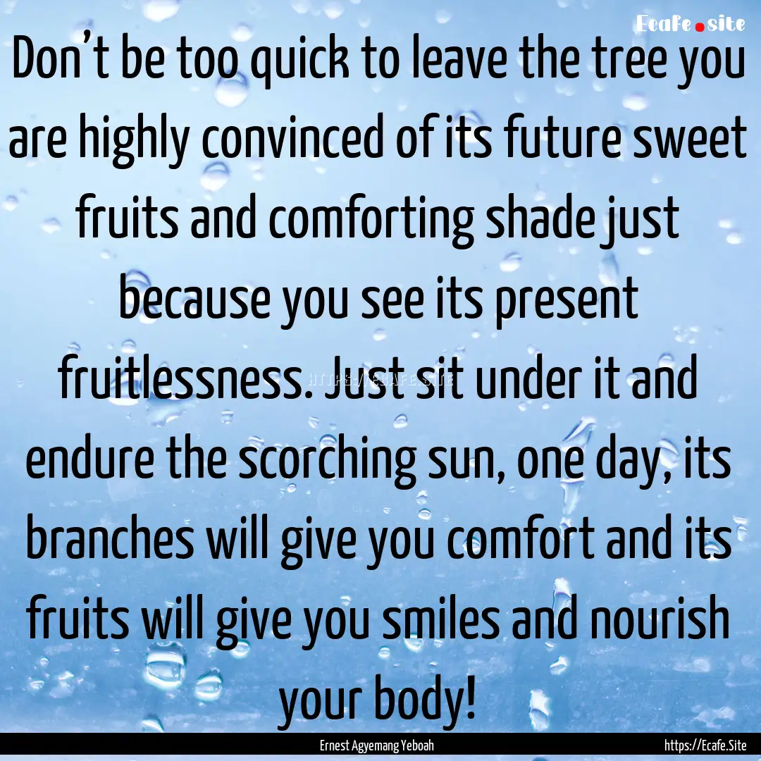 Don’t be too quick to leave the tree you.... : Quote by Ernest Agyemang Yeboah