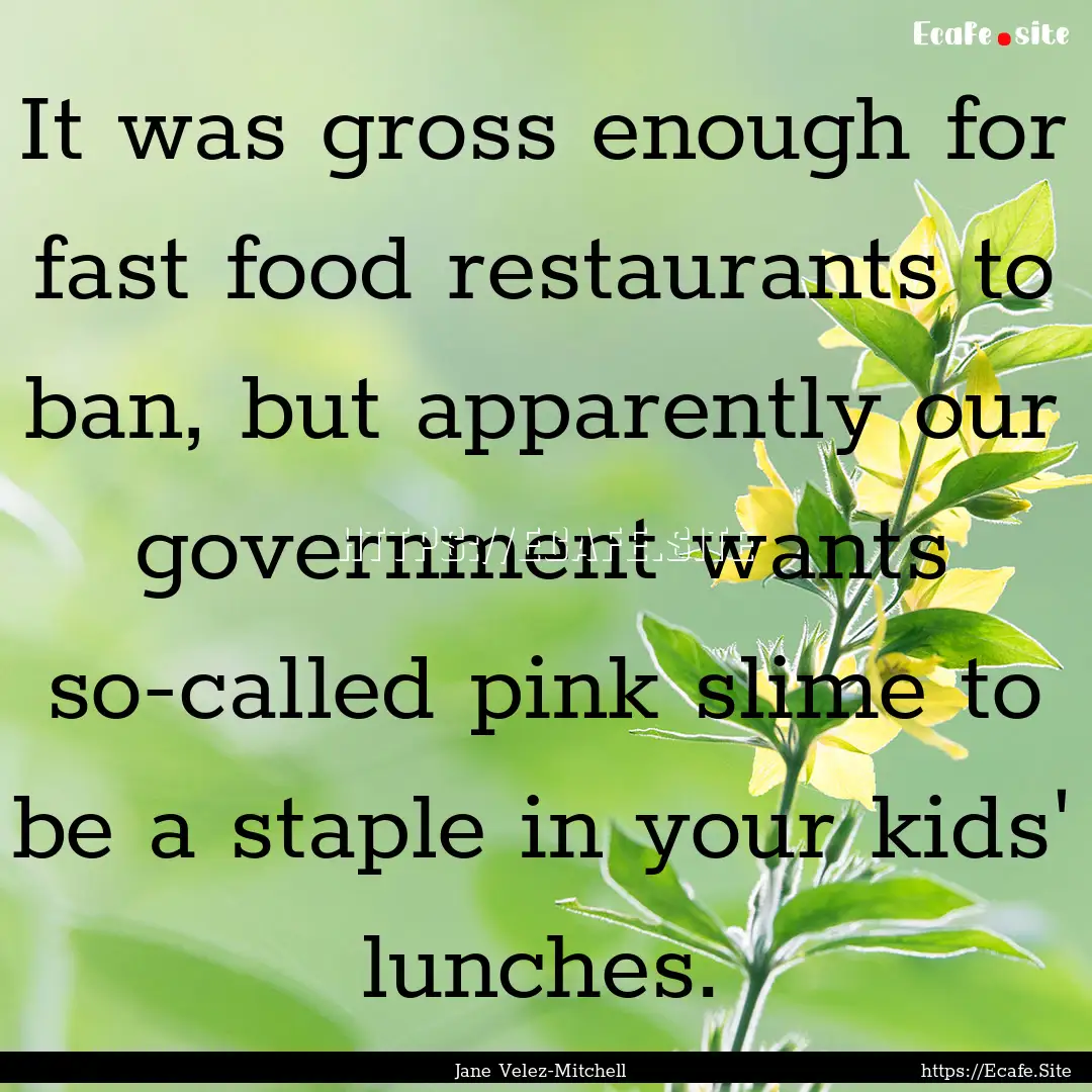 It was gross enough for fast food restaurants.... : Quote by Jane Velez-Mitchell