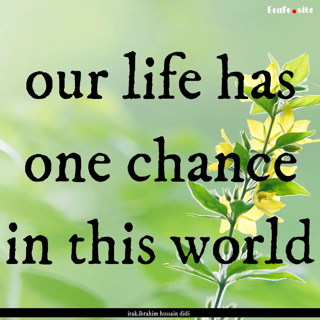 our life has one chance in this world : Quote by irak.ibrahim hussain didi