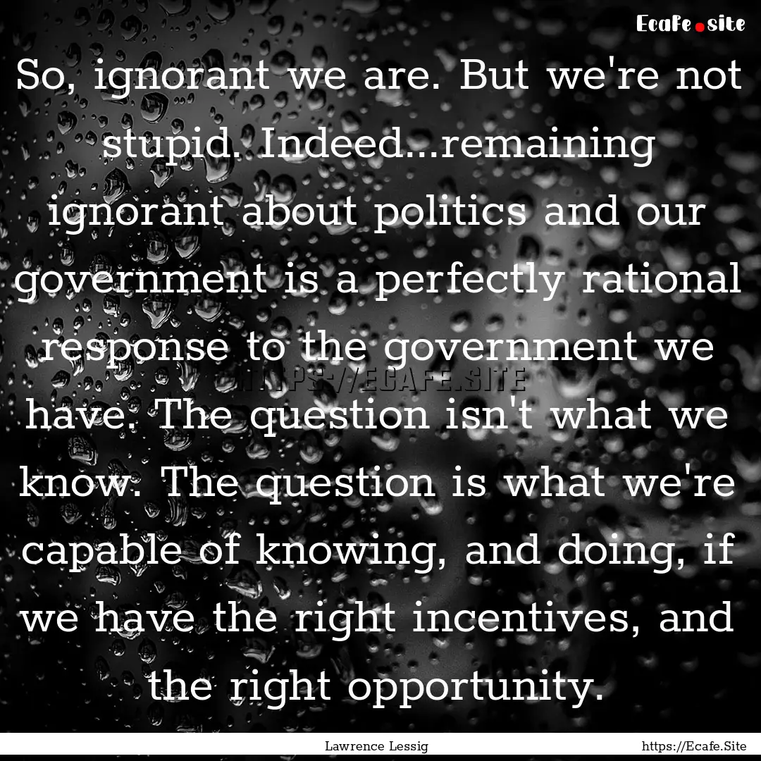 So, ignorant we are. But we're not stupid..... : Quote by Lawrence Lessig