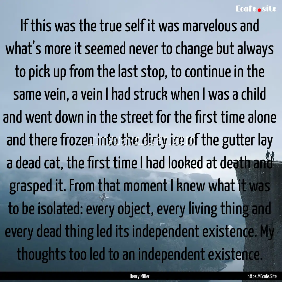 If this was the true self it was marvelous.... : Quote by Henry Miller