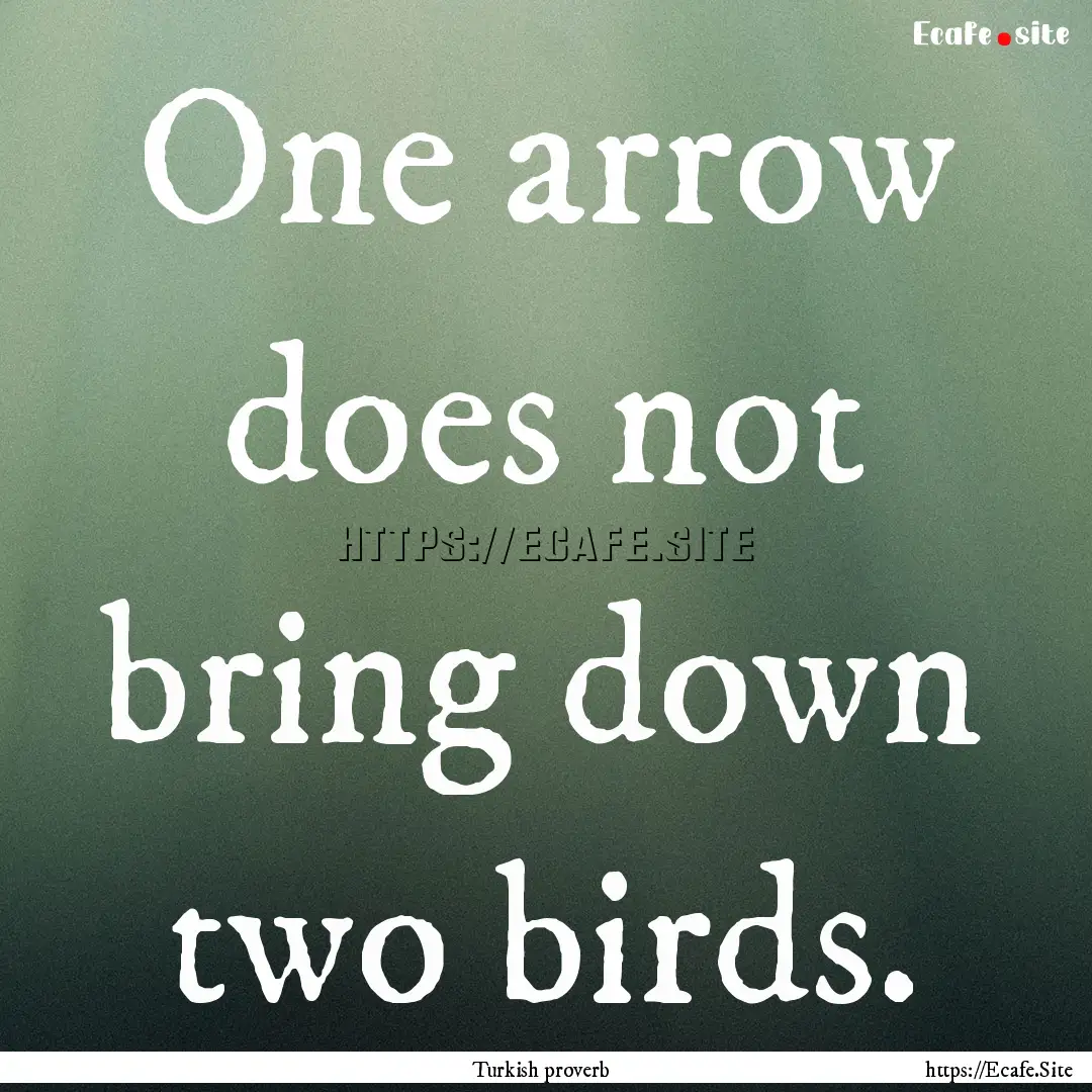 One arrow does not bring down two birds. : Quote by Turkish proverb