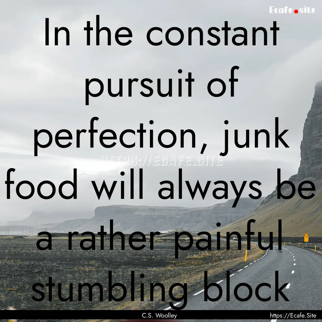 In the constant pursuit of perfection, junk.... : Quote by C.S. Woolley