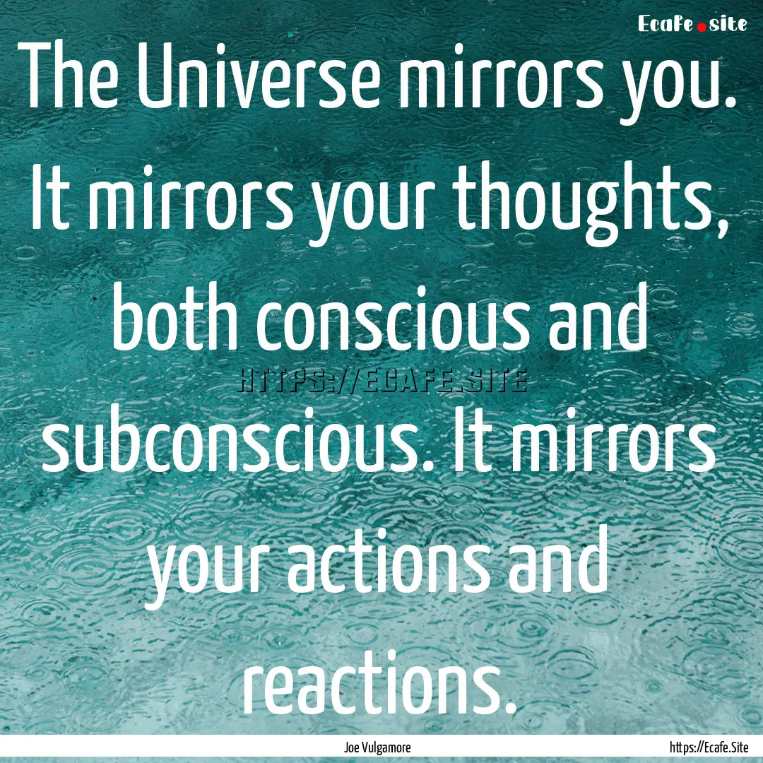 The Universe mirrors you. It mirrors your.... : Quote by Joe Vulgamore