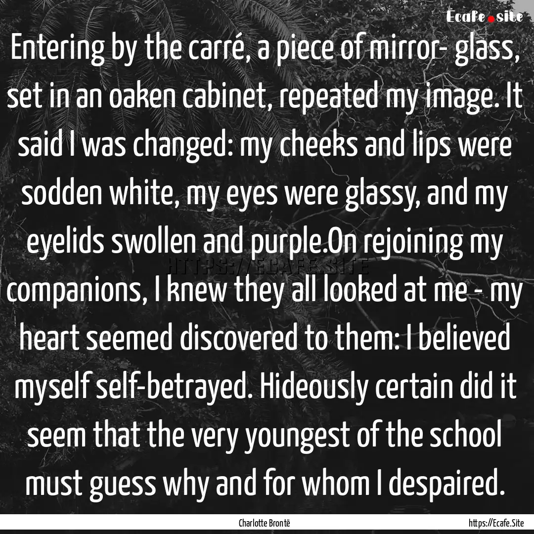 Entering by the carré, a piece of mirror-.... : Quote by Charlotte Brontë