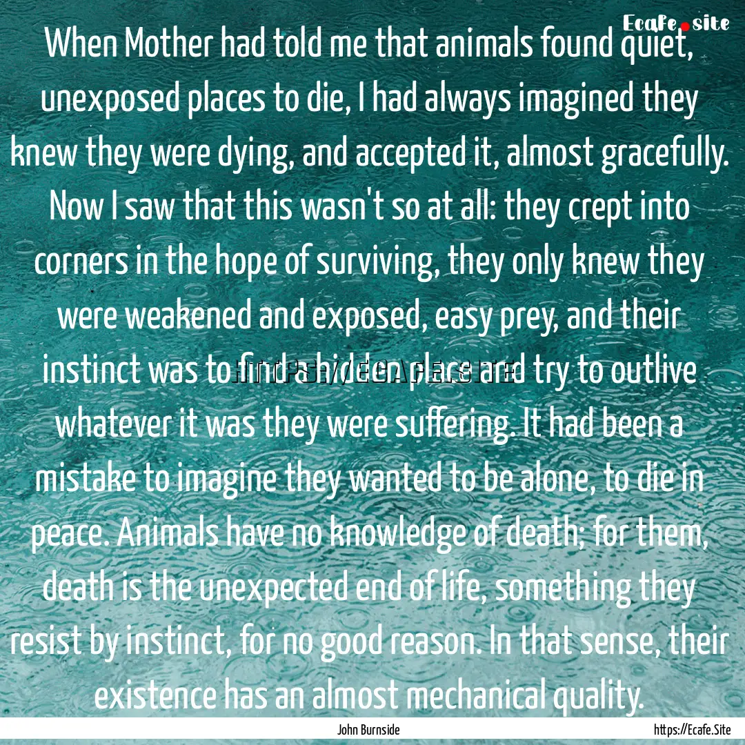 When Mother had told me that animals found.... : Quote by John Burnside