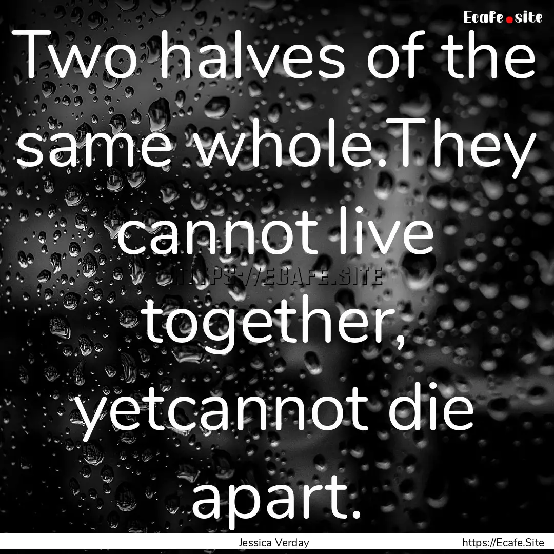 Two halves of the same whole.They cannot.... : Quote by Jessica Verday