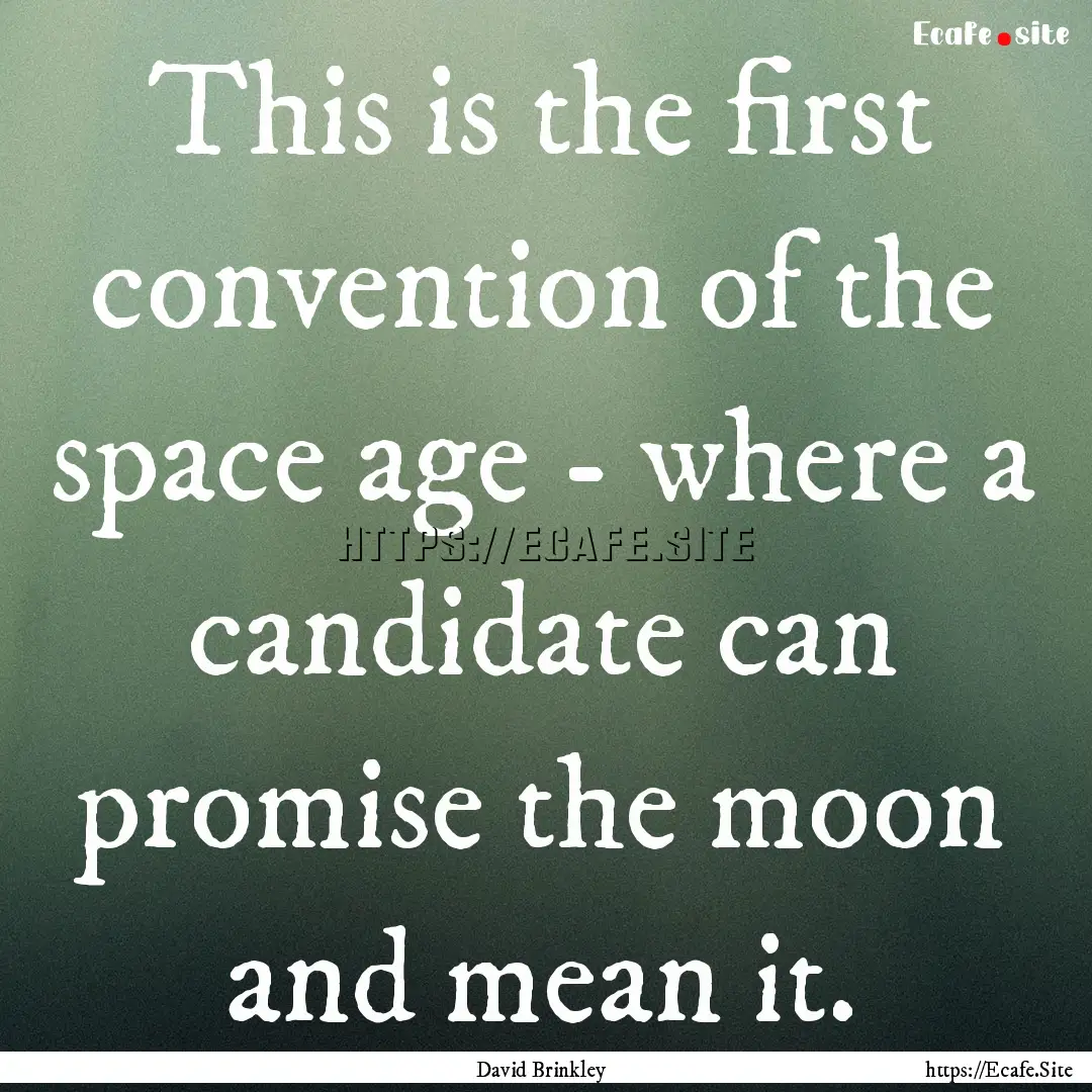 This is the first convention of the space.... : Quote by David Brinkley