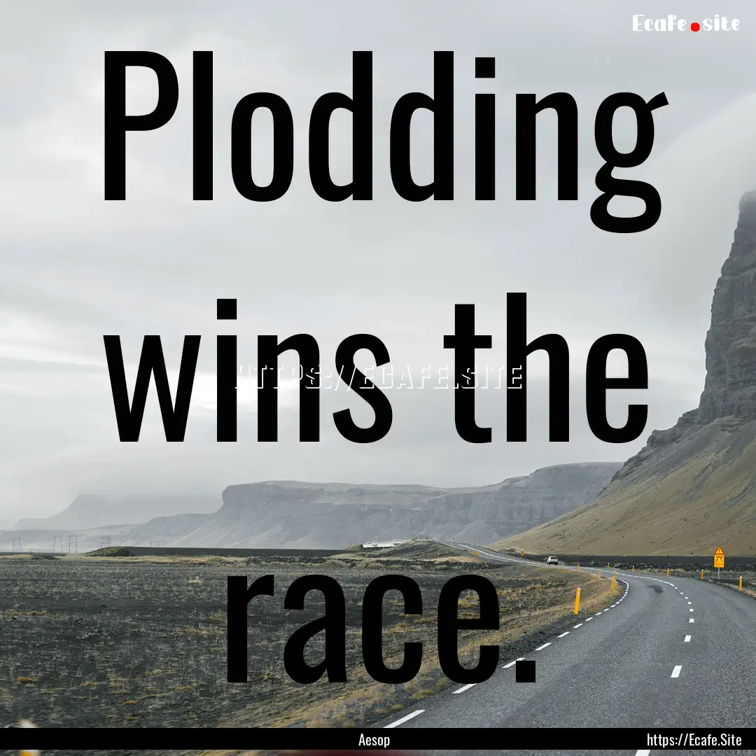 Plodding wins the race. : Quote by Aesop