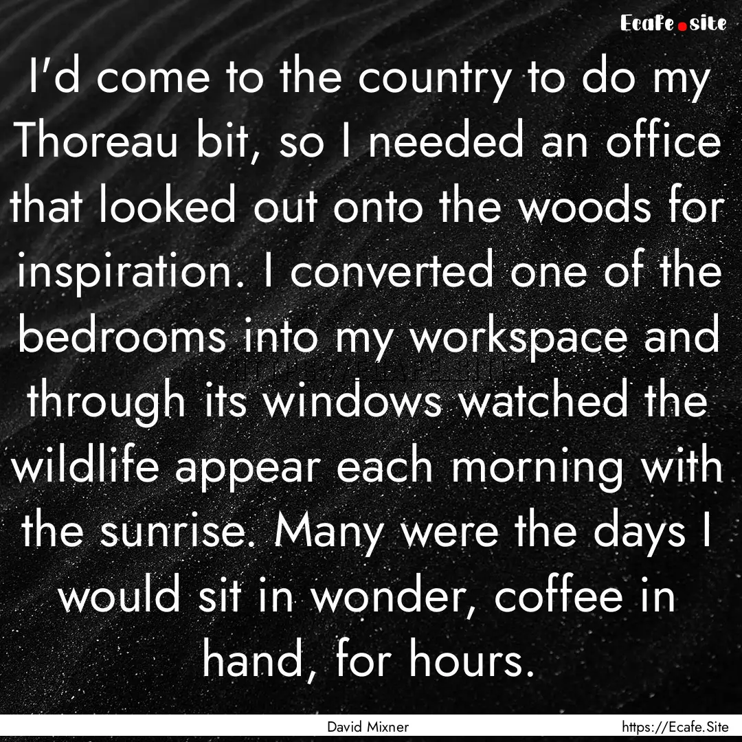 I'd come to the country to do my Thoreau.... : Quote by David Mixner