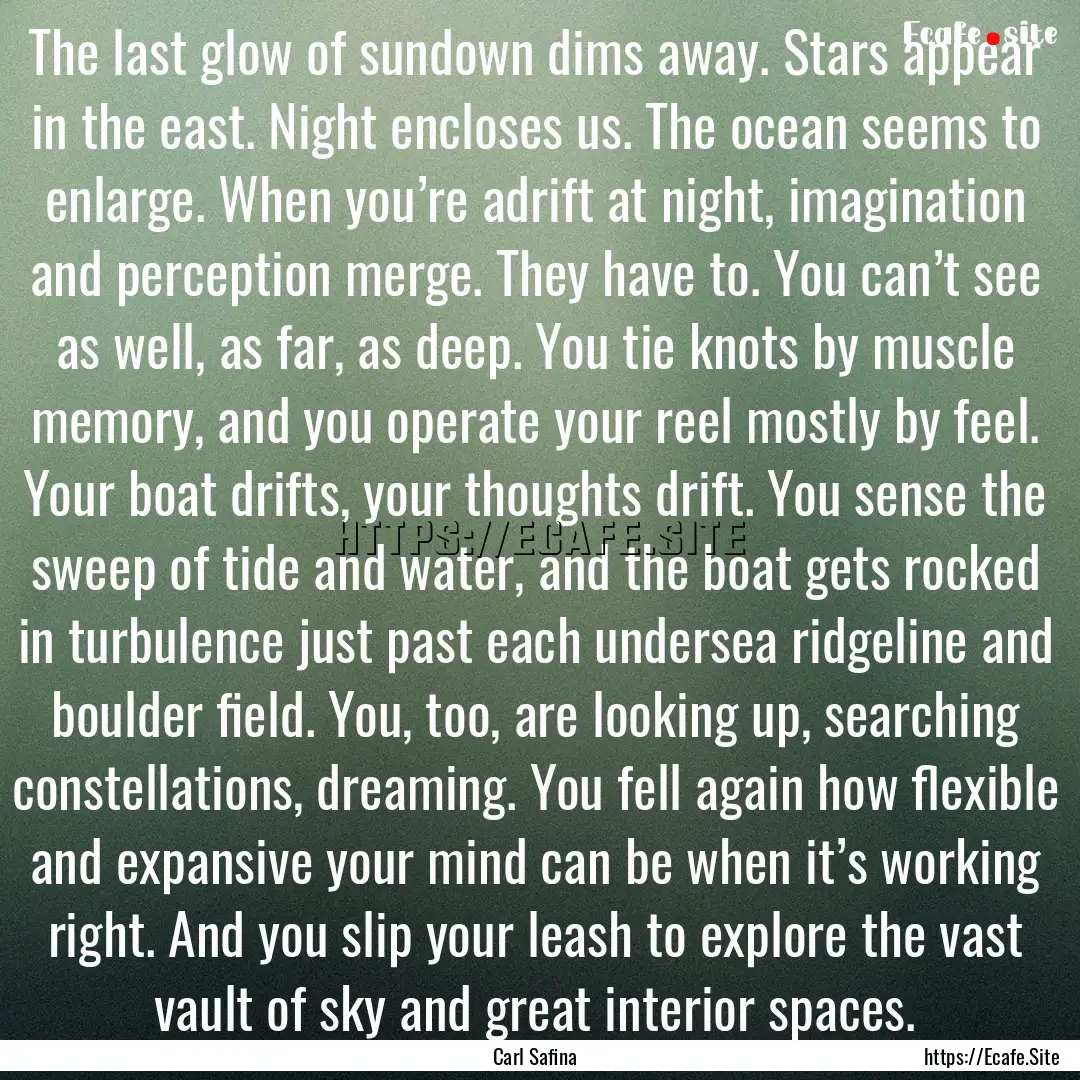 The last glow of sundown dims away. Stars.... : Quote by Carl Safina