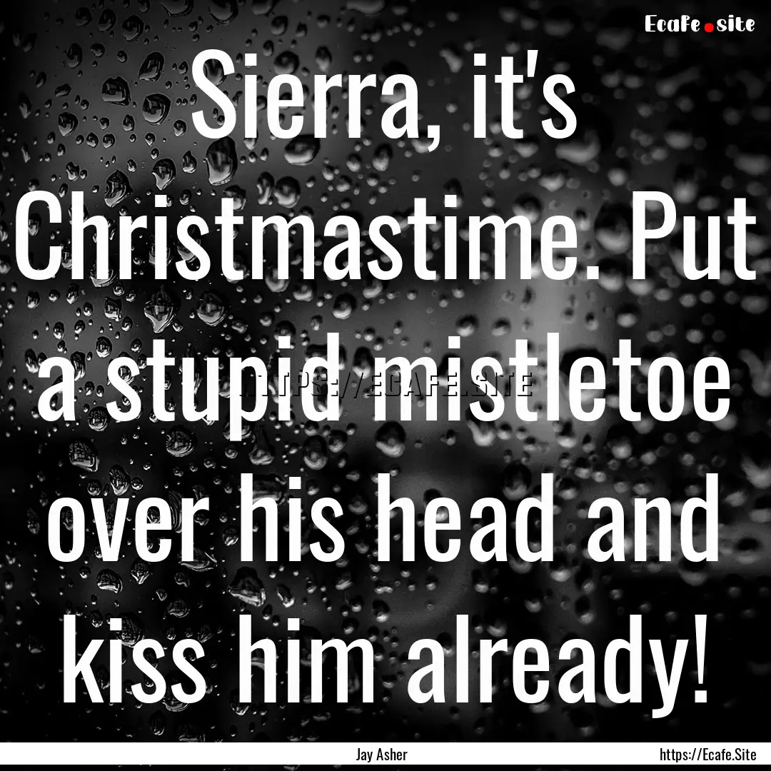 Sierra, it's Christmastime. Put a stupid.... : Quote by Jay Asher