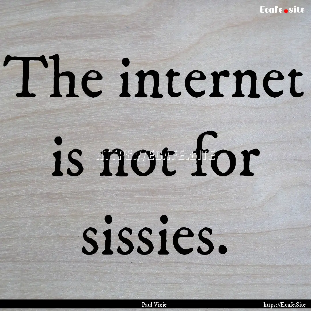 The internet is not for sissies. : Quote by Paul Vixie