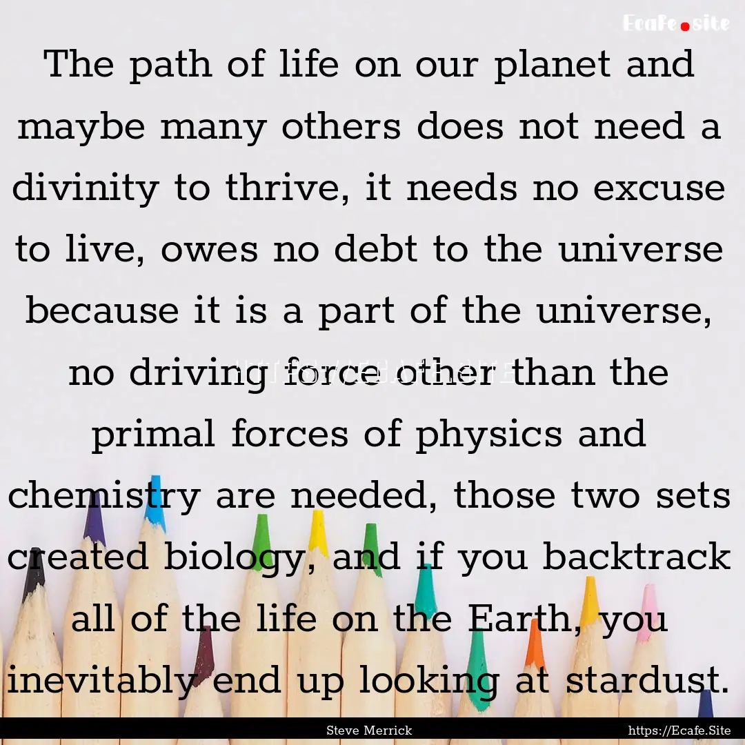 The path of life on our planet and maybe.... : Quote by Steve Merrick