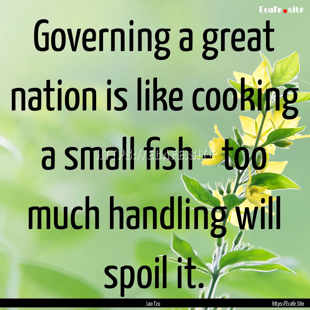 Governing a great nation is like cooking.... : Quote by Lao Tzu