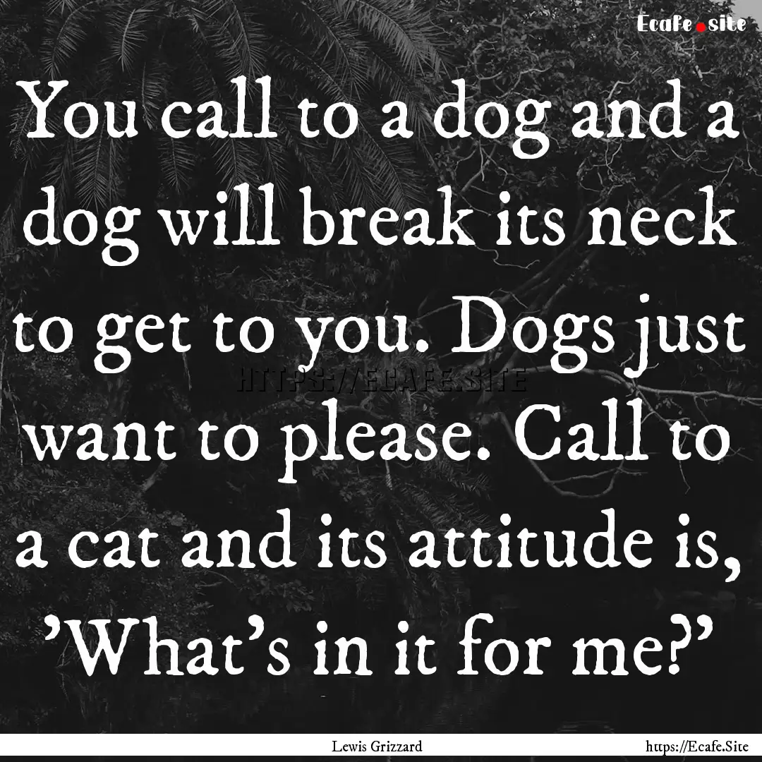 You call to a dog and a dog will break its.... : Quote by Lewis Grizzard