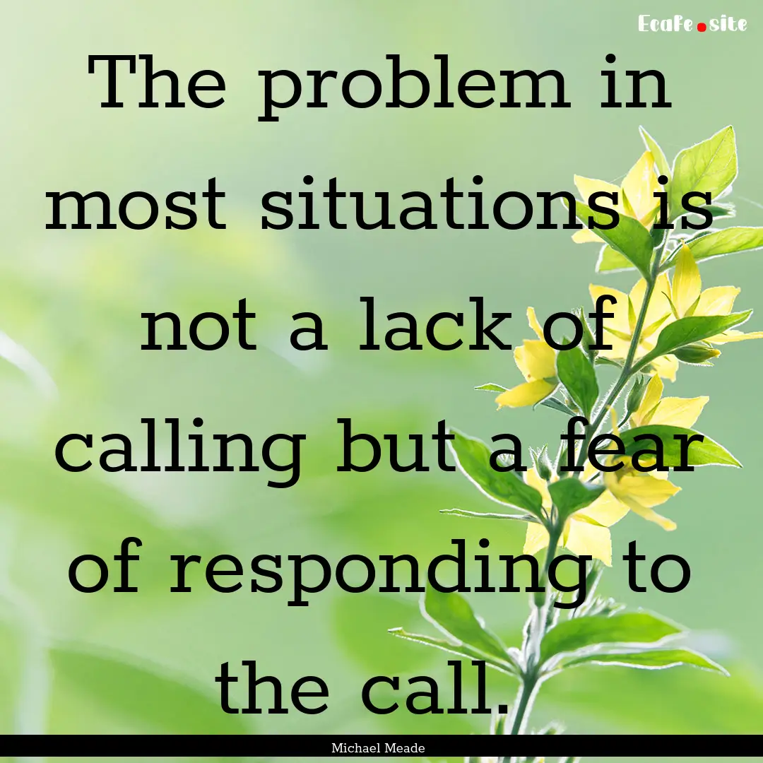 The problem in most situations is not a lack.... : Quote by Michael Meade