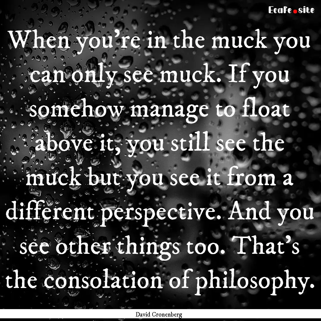 When you're in the muck you can only see.... : Quote by David Cronenberg