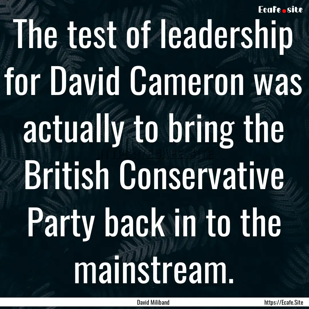 The test of leadership for David Cameron.... : Quote by David Miliband