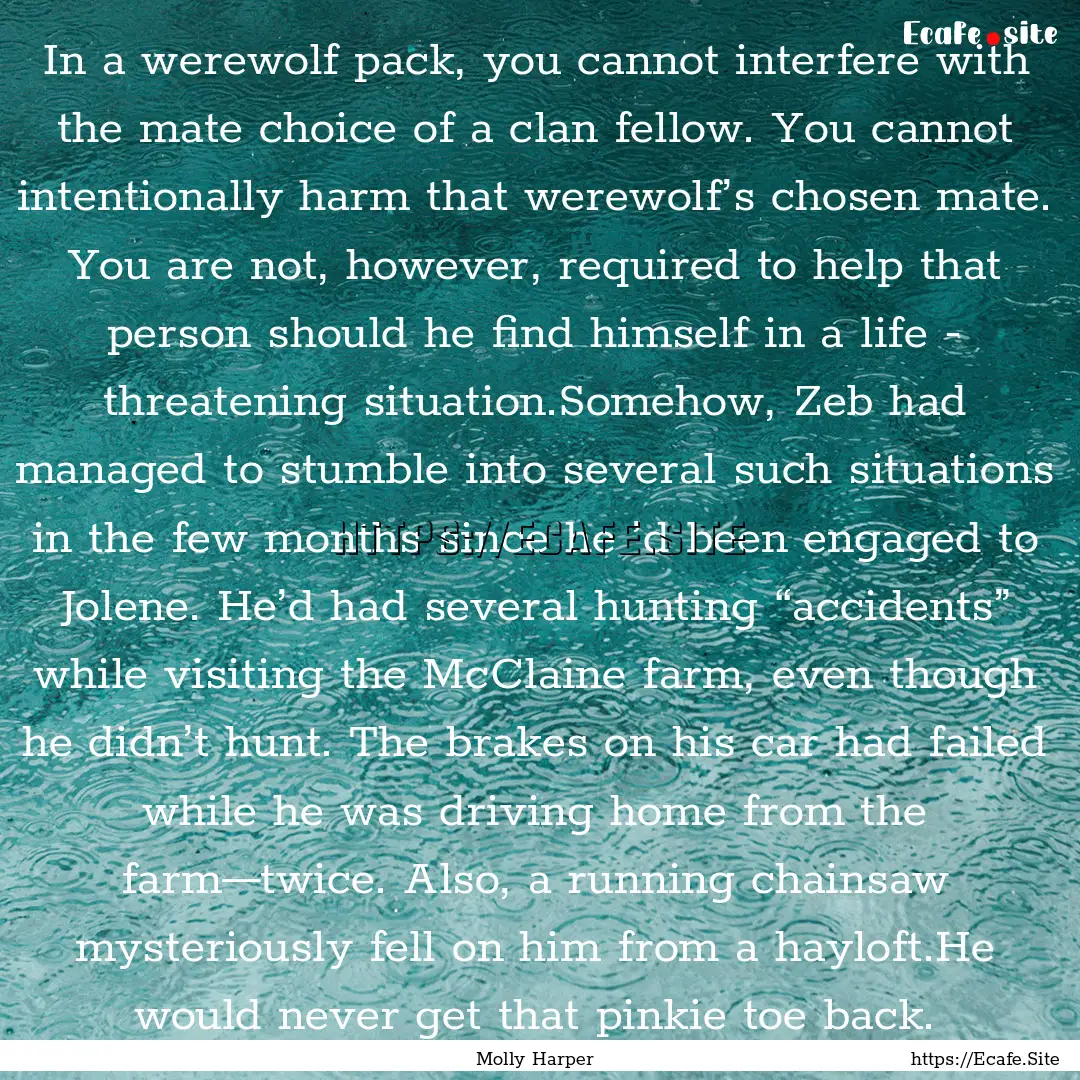 In a werewolf pack, you cannot interfere.... : Quote by Molly Harper