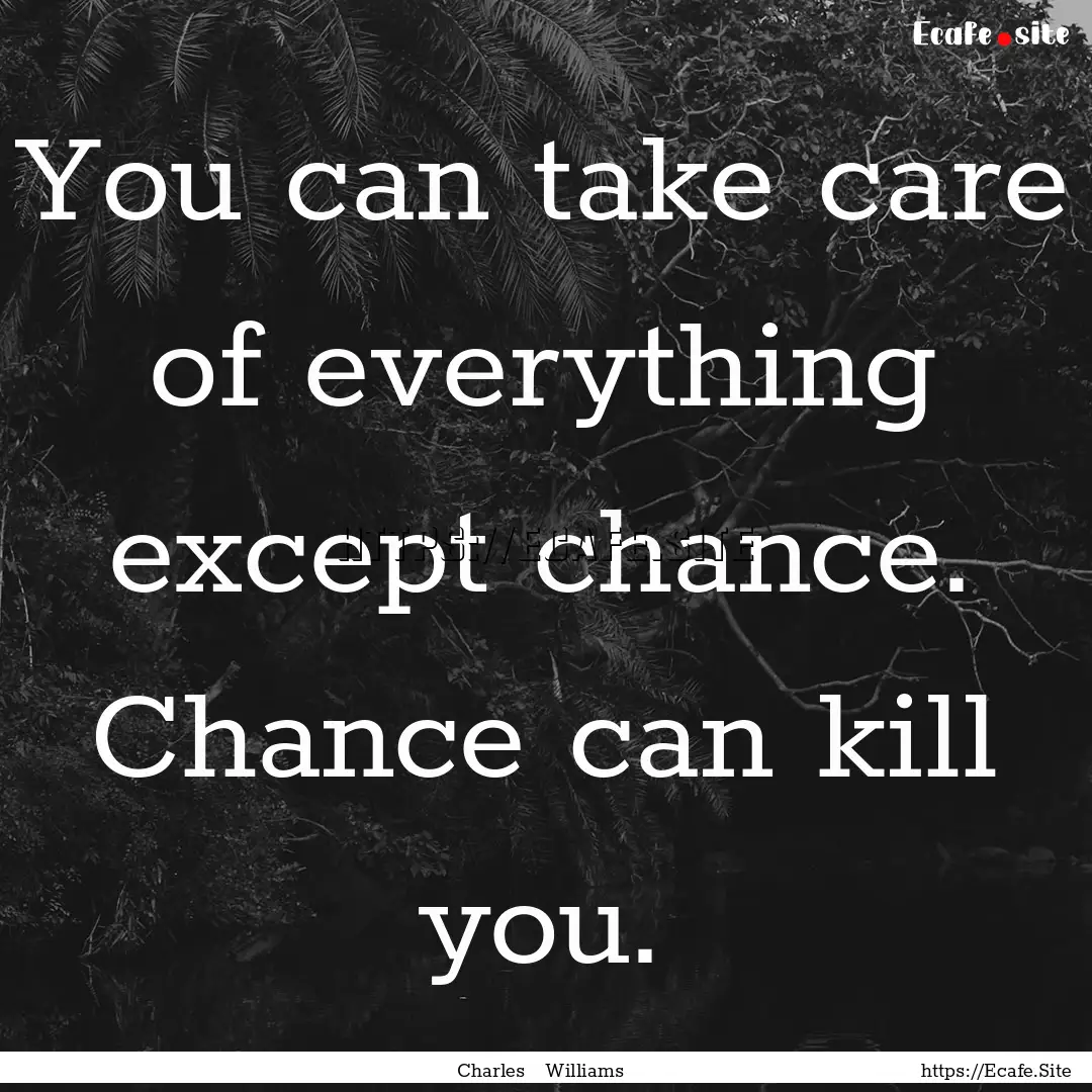 You can take care of everything except chance..... : Quote by Charles Williams