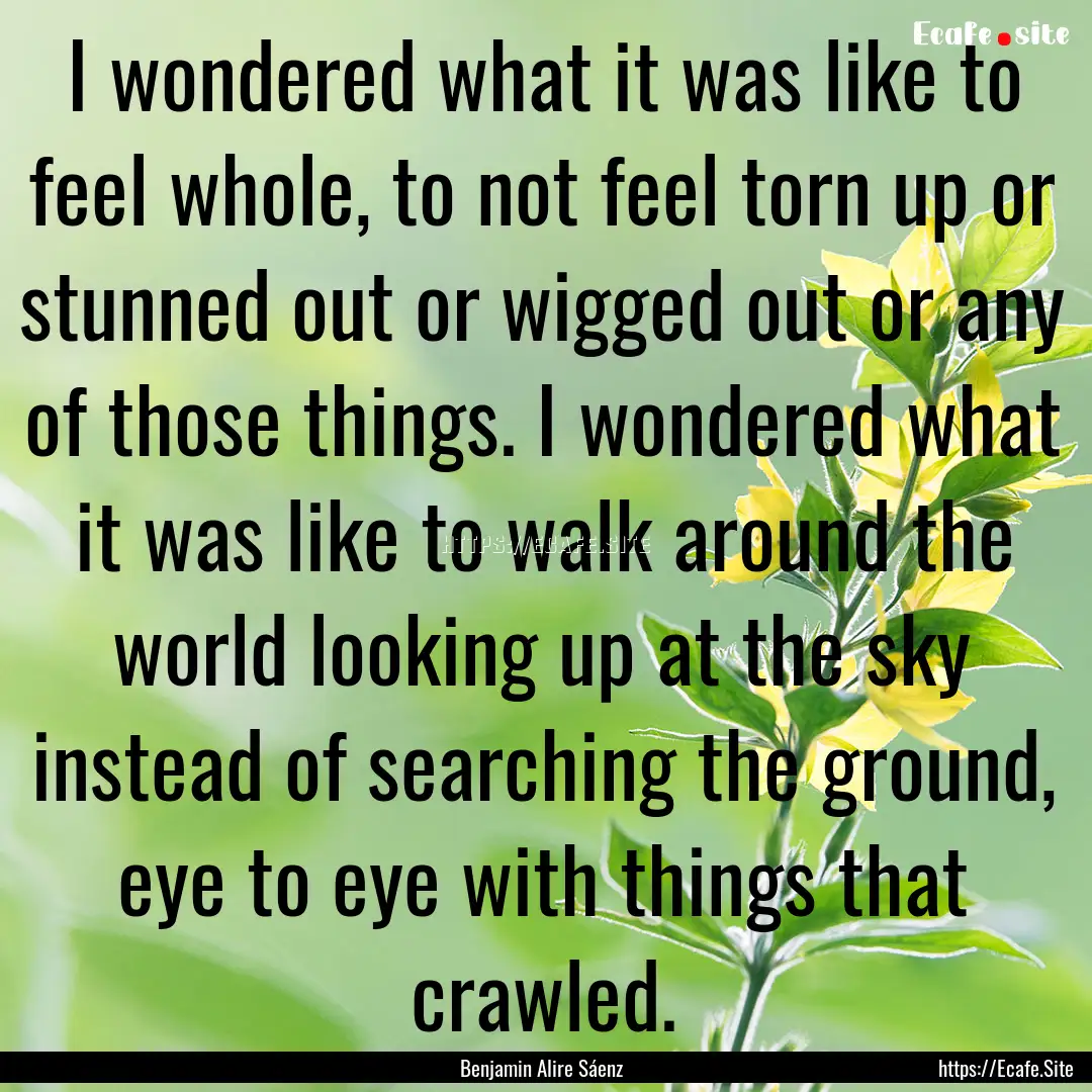 I wondered what it was like to feel whole,.... : Quote by Benjamin Alire Sáenz